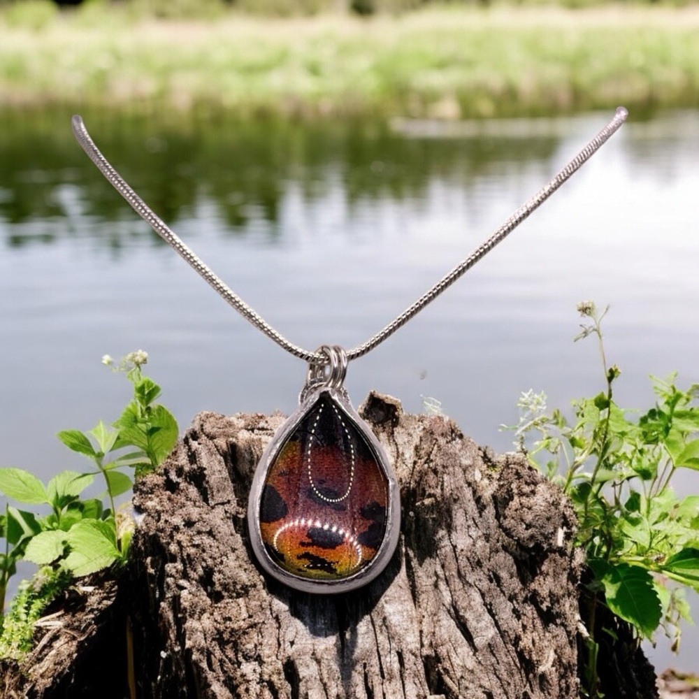Fairy Wings Genuine Butterfly Moth Pendant Necklace Sterling Silver Chain